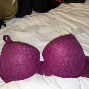 Lane Bryant - Cacique Lace Bra in Rich Magenta